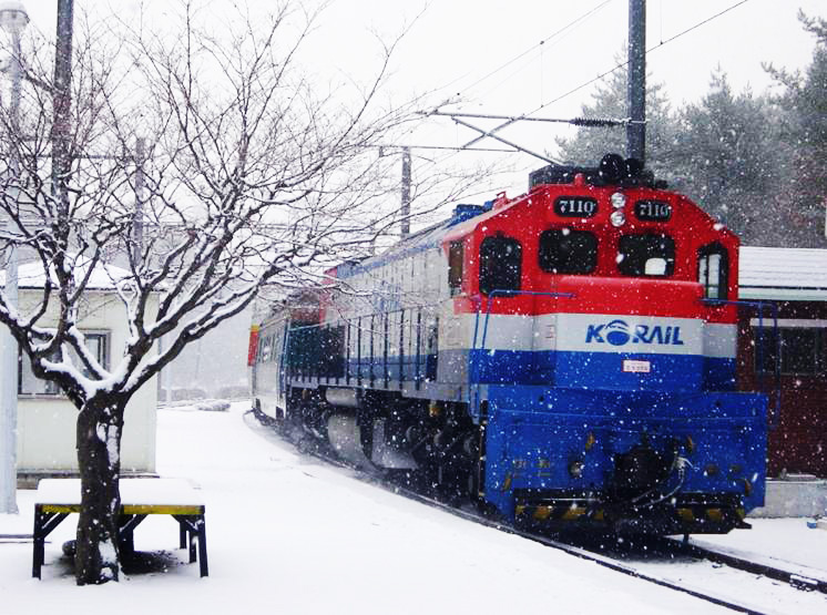 [V-train] 태백산 눈꽃 & 협곡열차ㆍ환상선 기차여행(당일)