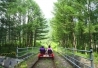 KTX-  Ϲũٴٿջ ̺ī (12)