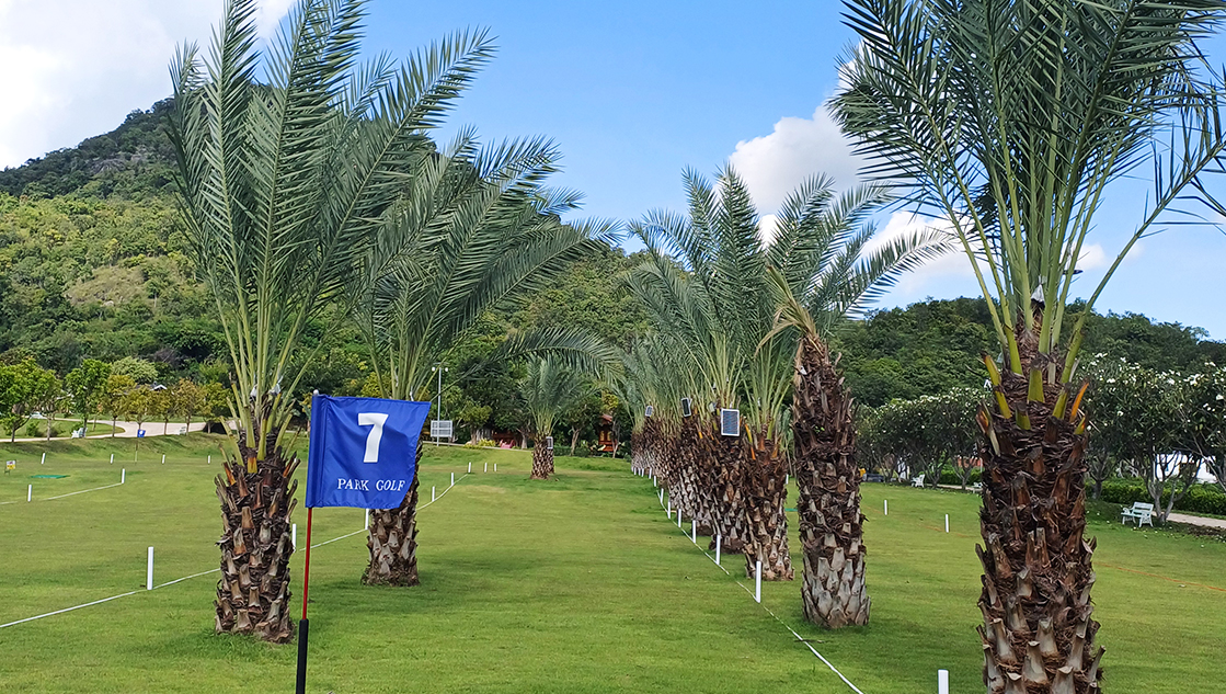 (ĭθ)  ũ   Honey Queen Park Golf Village (35)